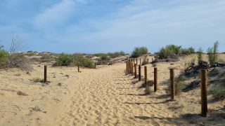 2023-GC--Mapalomas dunas-S123-215.jpg